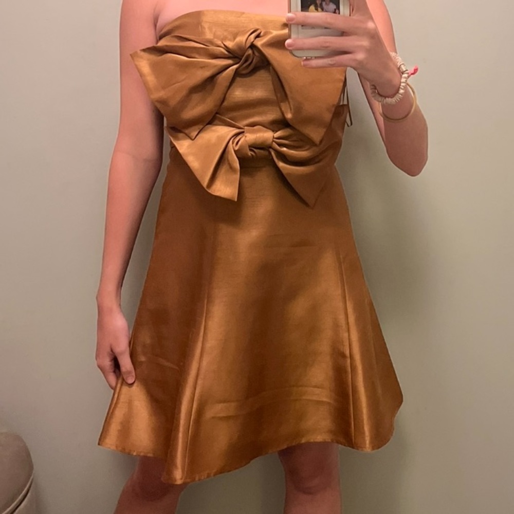 Boskemper Ariel Mini Dress in Brown- NWT